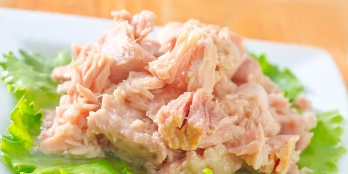 Atunlo inaugurates new tuna plant in Cape Verde