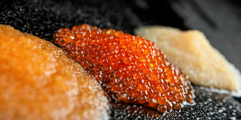 Estonian seafood group's earnings slip year-on-year