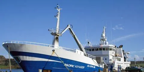 IntraFish Stockwatch: Pacific Andes gets dumped