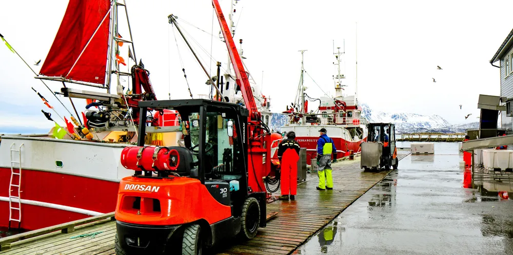 Vestvågøy Fiskarlag mener ferskfiskordningen er rettferdig. Her fra Steinfjorden Sjømats mottaksstasjon på Eggum i Vestvågøy.