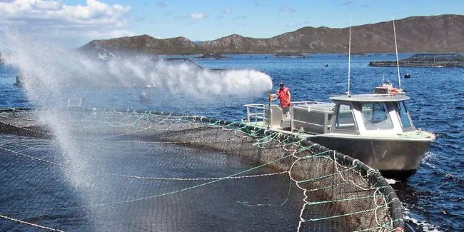 New report shows further slips in Macquarie Harbour ecosystem