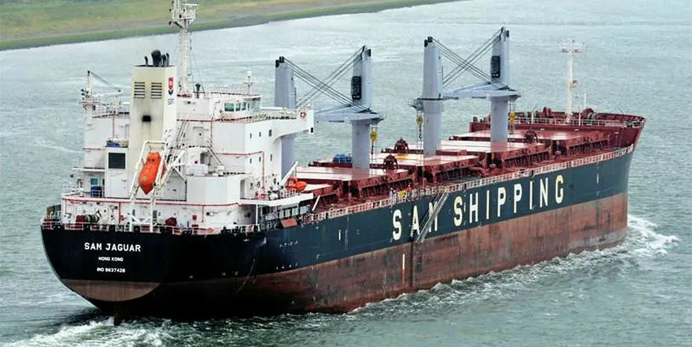 SAM Shipping's bulker Sam Jaguar is one of a number of company-affiliated ships under arrest.