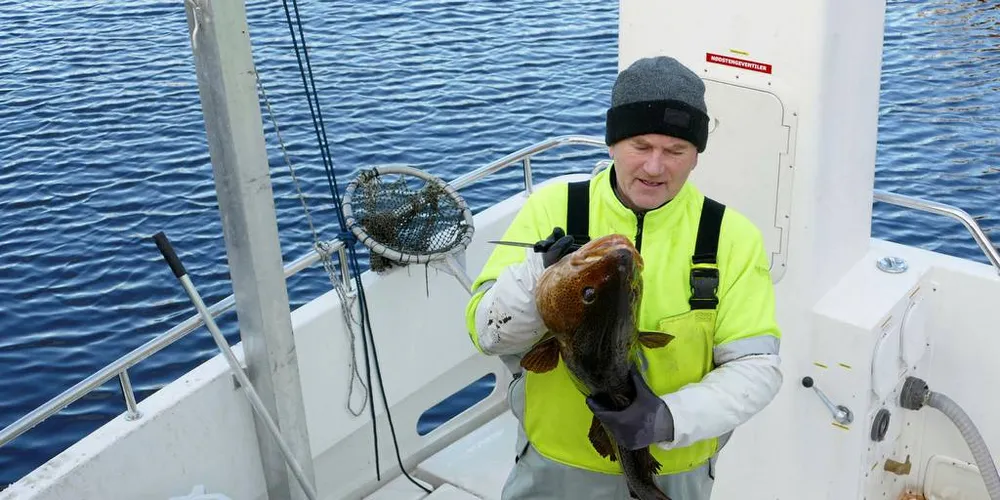 IKKE BITT: Fisker Jan Arve Birkeland fra Meland har fått lite av skreien i årets lofotfiske.Foto: Ole Erik Klokeide