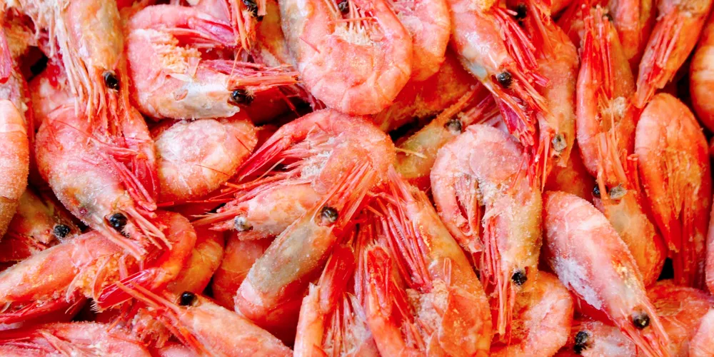 Danish giant divests seafood business in strategic overhaul