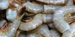 Camposol to strengthen lead in Peru shrimp exports