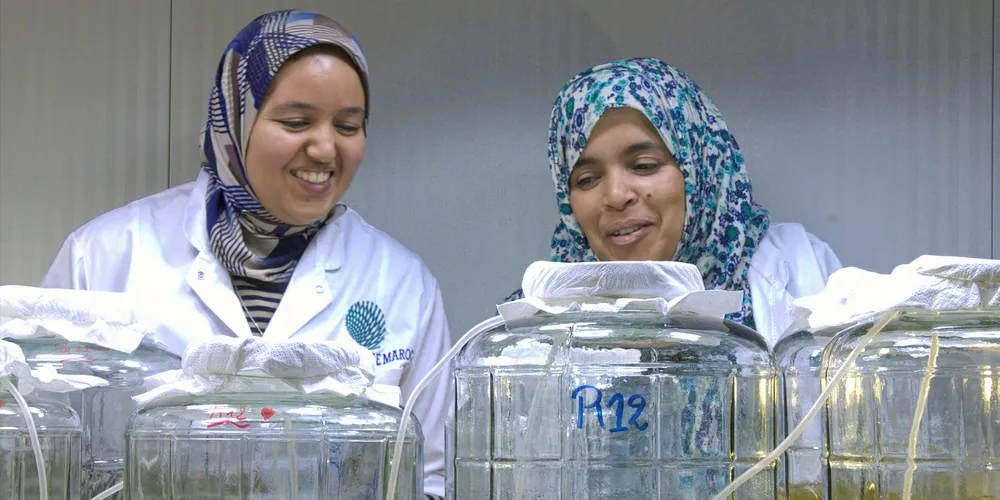 SuSeWi process laboratory in Morocco.