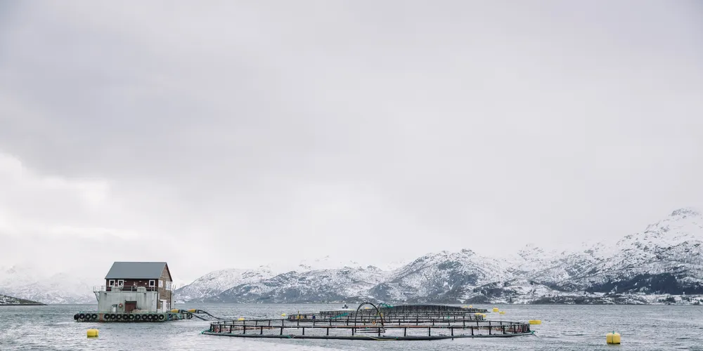 Landstrøm til oppdrett