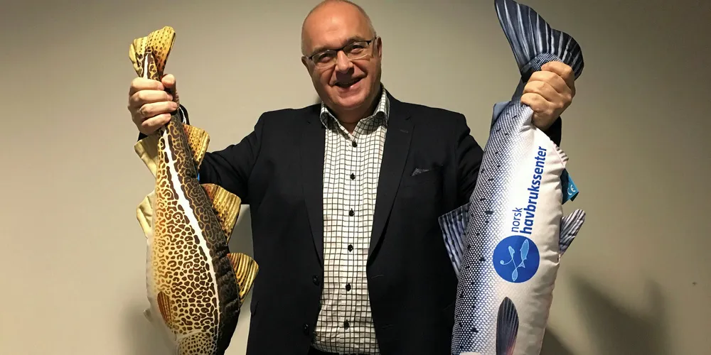 Paul Birger Torgnes har ikke gitt opp håpet om torskeoppdrett, og mener utsiktene er bedre nå enn da nærmest hele næringen gikk over ende.
