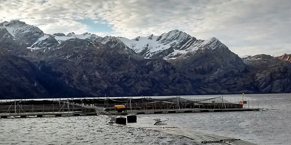 ISA detected at Cermaq's Magallanes farm