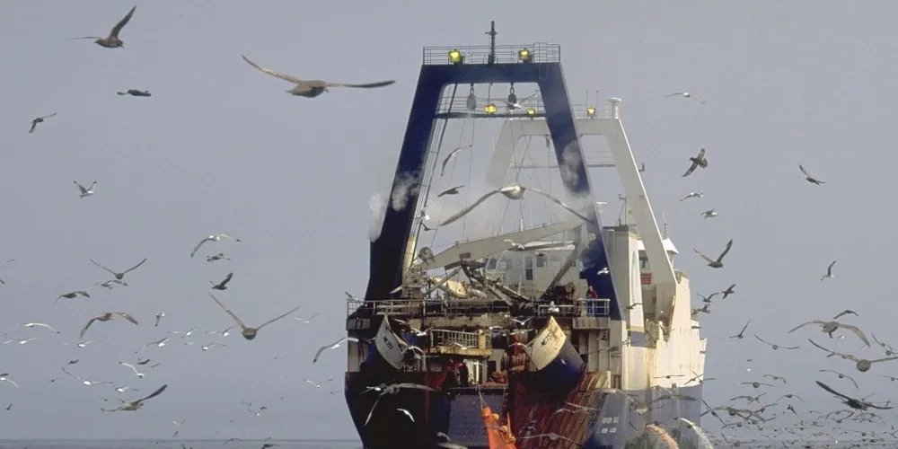 Bering Sea-Aleutian Islands pollock quota to climb 3.29% in 2015