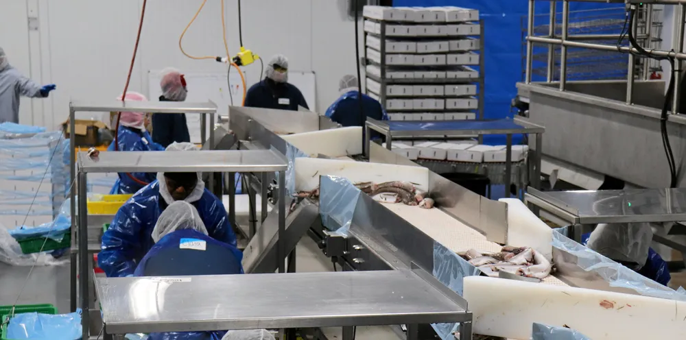 Pacific Seafood has been chosen to fulfill a major USDA contract as groundfish makes more gains with the US federal agency.