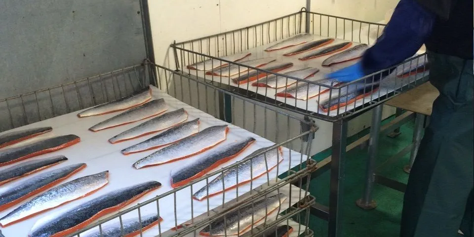 Larson bay fillet line - Icicle Seafoods facebook