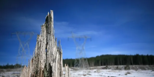 Washington governor approves reduced project to save views