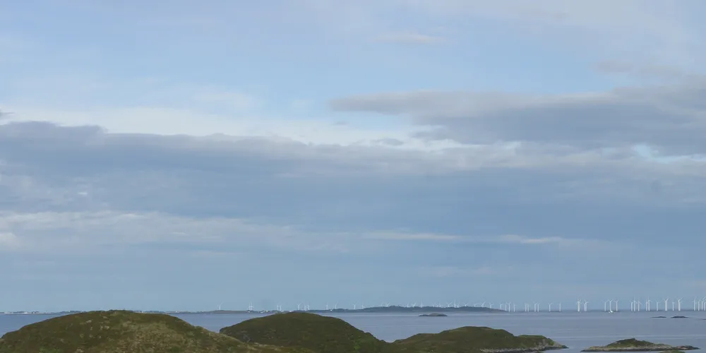 Havgul kjøper svensk selskap