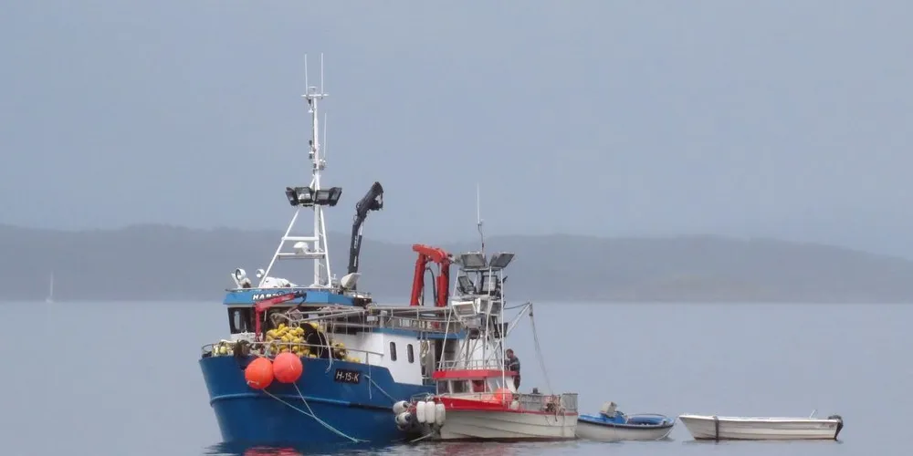 Skal notbåter som ?Hartho? på vel 12 meter få ha fjordene i Troms og Finnmark for seg selv hvis makrellen dukker opp innenfor fjordlinjene? Fiskeridirektoratet lover rask avklaring hvis problemstillingen oppstår. Foto: Jon Eirik Olsen
