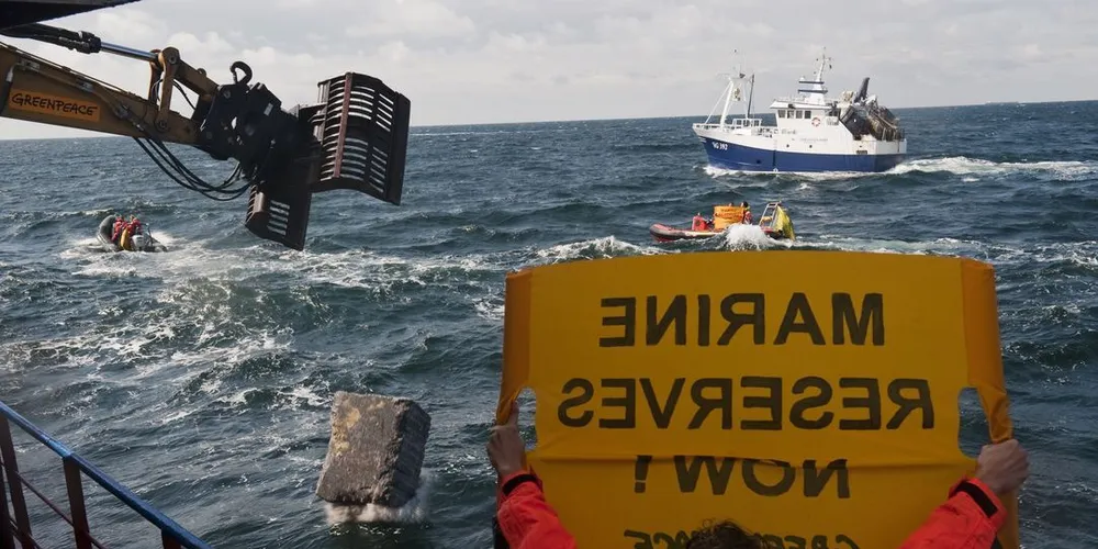 Greenpeace Norge mener det særlig må aksjoneres mot trålfanget fisk, mens i USA rødlistes all torsk selv om bestanden ikke er truet. Illustrasjonsfoto: Dick Gillberg