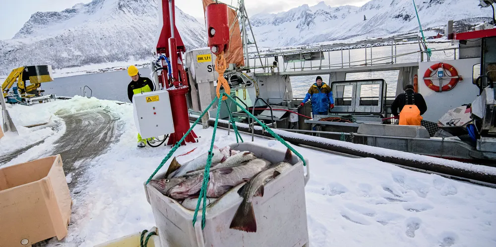 HAVETS SPISSKAMMER: Koronakrisen har vist oss viktigheten av en fiskerinæring som sikrer samfunnskritisk matproduksjon, på en sunn og bærekraftig måte. Bildet viser lossing fra fiskebåten Mevær på fiskemottaket i Tromvik.