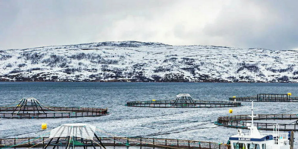 A Leroy salmon farm.