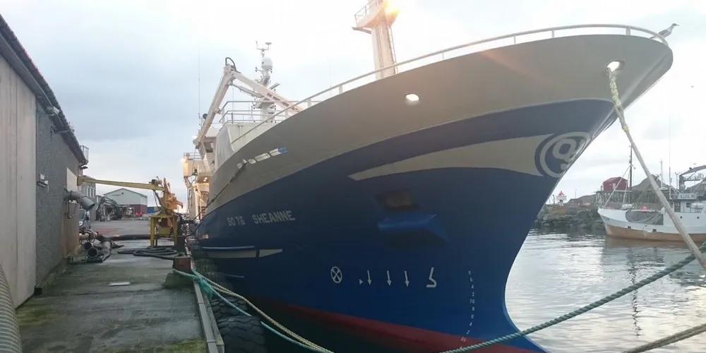 Irske "Sheanne" losset NVG-sild på Værøy i Lofoten. Alle foto: Jason Moore
