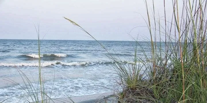Looking out into the Atlantic Ocean from Tybee Island.