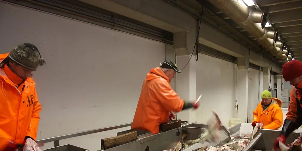 Brødrene Karlsen har siste kjøpedag fredag 11.april