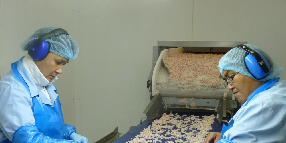 Global coldwater shrimp quotas to drop to 194,000 tons in 2017