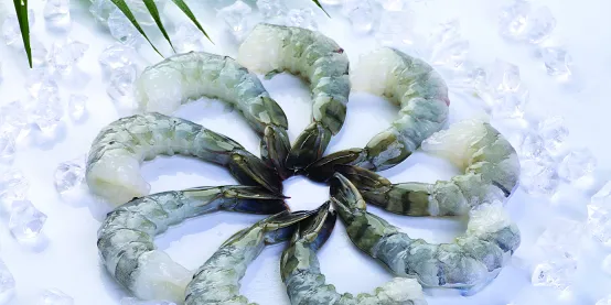 A billion-dollar shrimp giant in the making