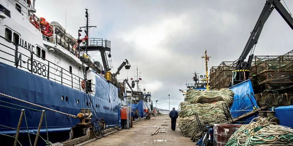 SKAL FORNYES: Den russiske trålerflåten skal fornyes. Her ligger en rekke russiske trålere i havnen i Kirkenes.Foto: Klaudia Lech