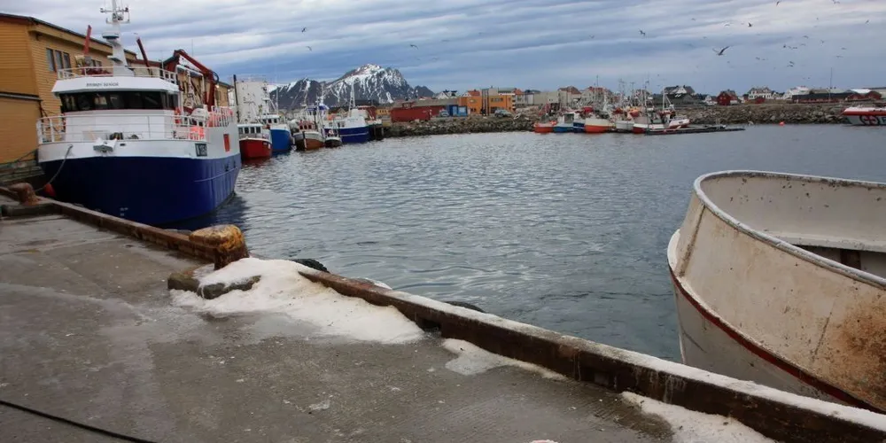 Fiskeridirektør Liv Holmefjord vil ikke øke innblandingsprosenten av uer for kystflåten. Arkivfoto: Terje Jensen
