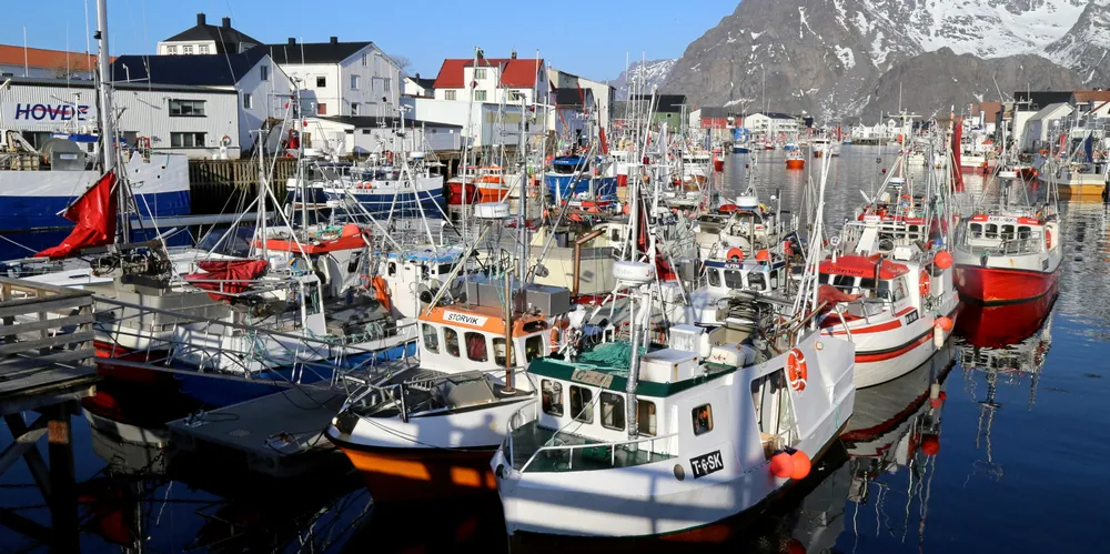 Sjarkflåten i Henningsvær i vinter var ikke i Sjøfartsdirektoratets søkelys. Men antall båter her kan gi et inntrykk av hvor mange fartøyer som nå legges til kai av Sjøfartsdirektoratet.