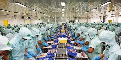WWF signs deal to promote pangasius