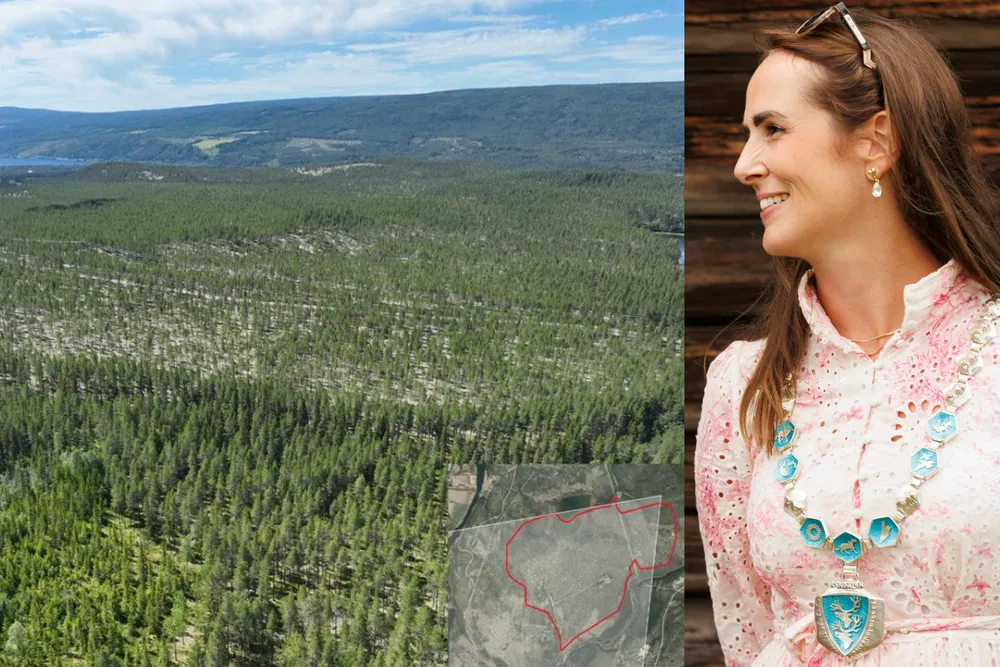 Ordfører Linda Døsen Stubsveen (Ap) i Rendalen kommune. Den røde firkanten viser hvor Kværnesmoa solkraftverk er planlagt.
