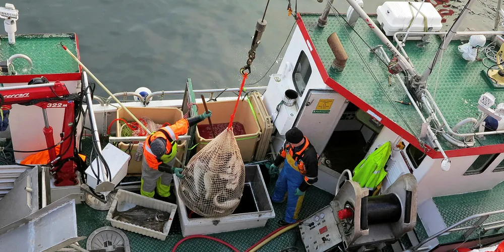 LOFOTFISKET: Fiskere fra Helgeland må i karantene om de har vært på lofotfisket. NB: Dette er et illustrasjonsfoto.
