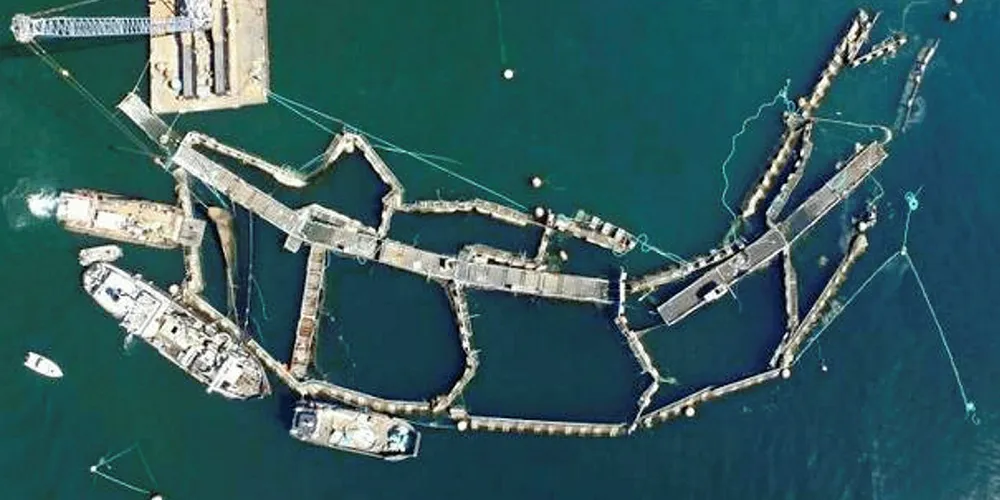 In August 2017, a netpen owned by Cooke Aquaculture near Cypress Island in Washington state failed and released tens of thousands of non-native Atlantic salmon into the surrounding water