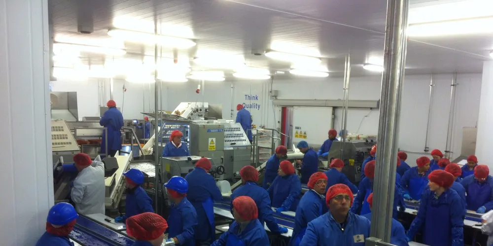 Year of investment pays off for Grimsby processor