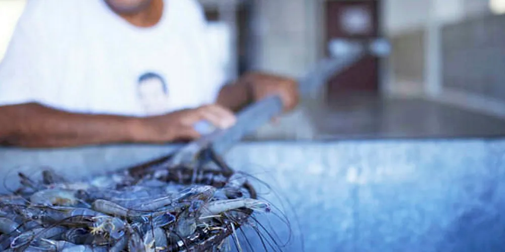 Del Pacifico Seafoods is expanding its sales team.