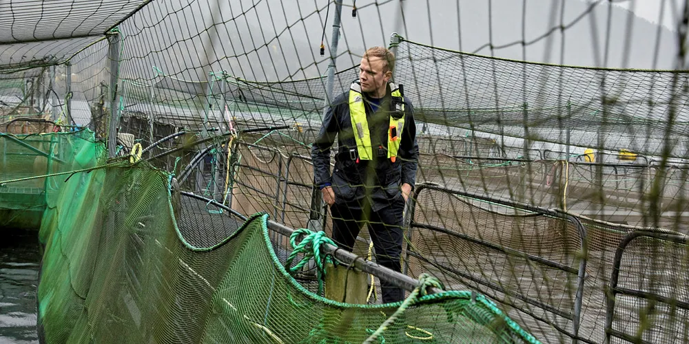 STERKE; Fra en sped start på 1960-tallet har Eide Fjordbruk i dag vokst seg til en milliardbedrift. Her ser vi Sondre Eide på smoltanlegget i Skogseidvatnet ved bedriftens hovedkvarter.