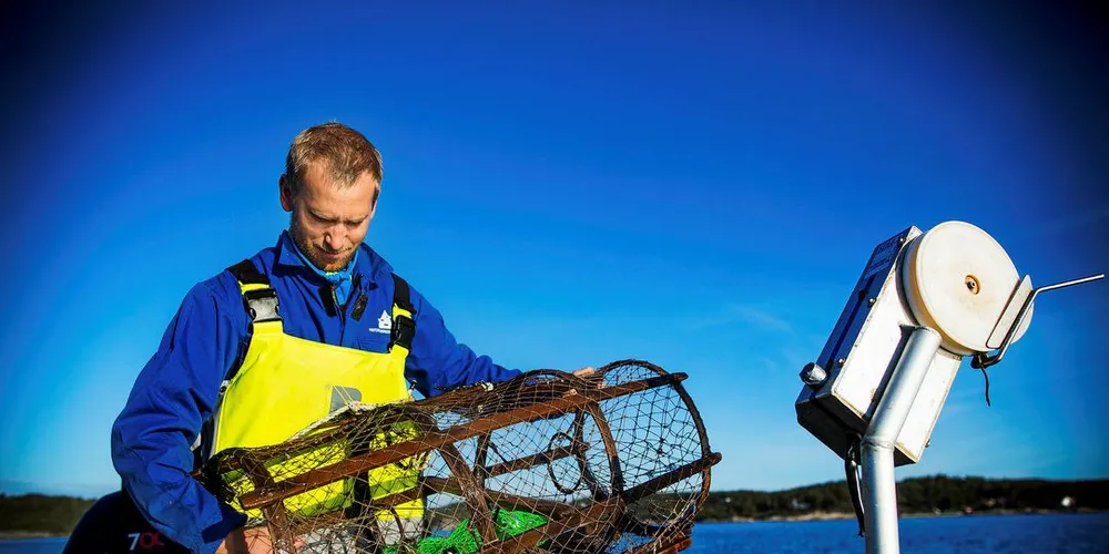 Forsker Alf Ring Kleiven ved Havforskningsinstituttet på hummerfisket for noen år siden. Foto: Sondre Steen Holvik/DN