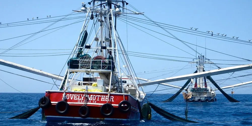 Gulf of Mexico shrimp boat - Flickr/maureendidde