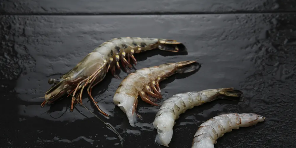 UK gourmet sushi supplier profits continue to rise