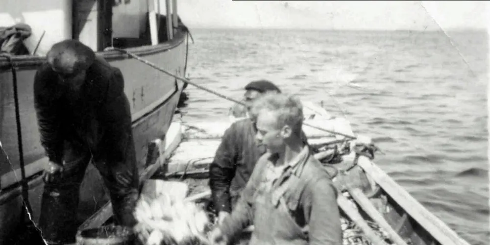SKJEPPEMÅL: Brisling i skjeppemål, Elmer Dalaker med hoven på 40-tallet.