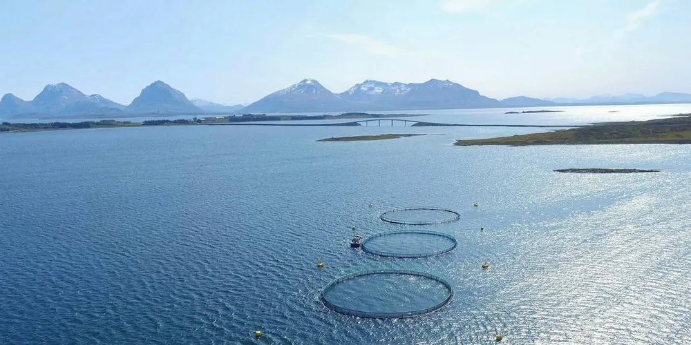 VEKST OG PENGER: Det er lovet muligheter til laksevekst annethvert år. Derfor vil det komme mye penger til kommunene fra havbruksfondet, og alle kommuner med lakseoppdrett får glede av fondet, understreker fiskeriministeren. Her fra Nekton Havbruks visningslokalitet på Hestøya på Smøla.Illustrasjonsfoto: Nekton Havbruk
