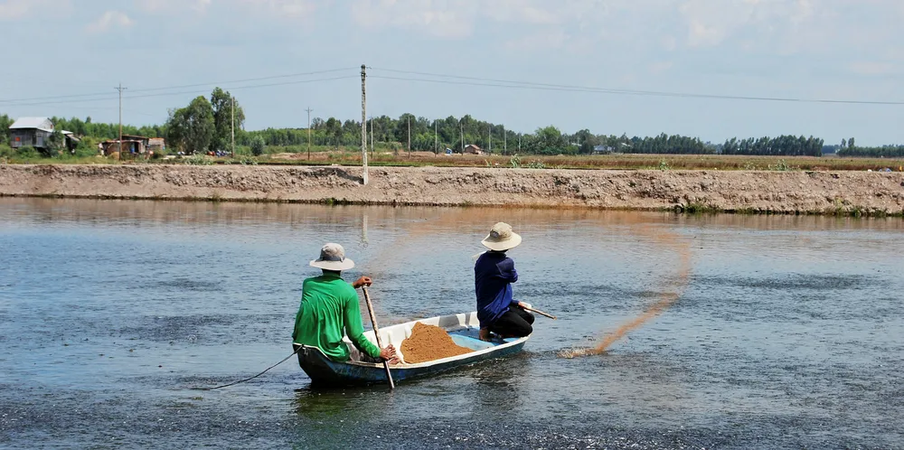 Demand for pangasius climbs in Southeast Asia