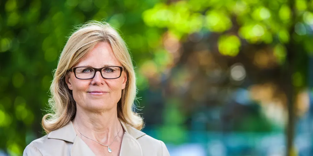 Vindkraftsboomen nära toppen