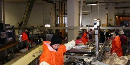 Konkurs i Rosfjord Seafood