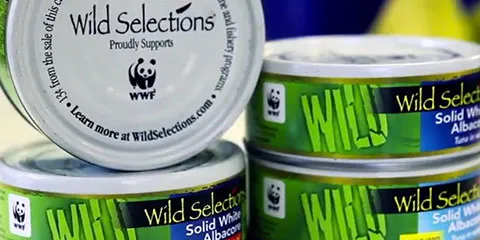 WWF: Tuna sector making huge strides toward sustainability