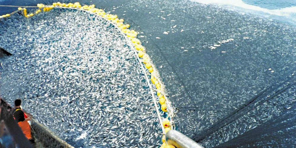 Economists name and shame EU fisheries ministers for exceeding TAC