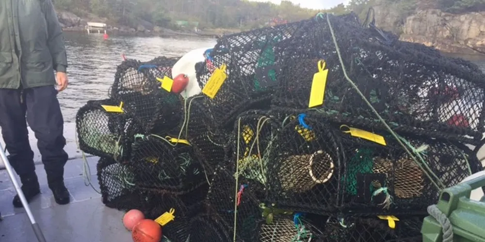 I en fellesaksjon i Agderfylkene og Rogaland ble 110 teiner og ruser beslaglagt rett før hummersesongen startet. Foto: Fiskeridirektoratet