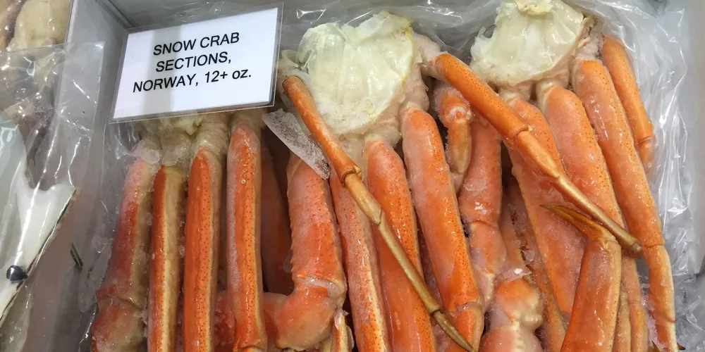Canadian supplier sees promise in 'experimental' Norwegian snow crab fishery
