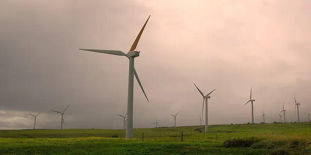 Upolu Point Wind Farm in Hawaii. HEI had 21% of renewable power in its total sales last year